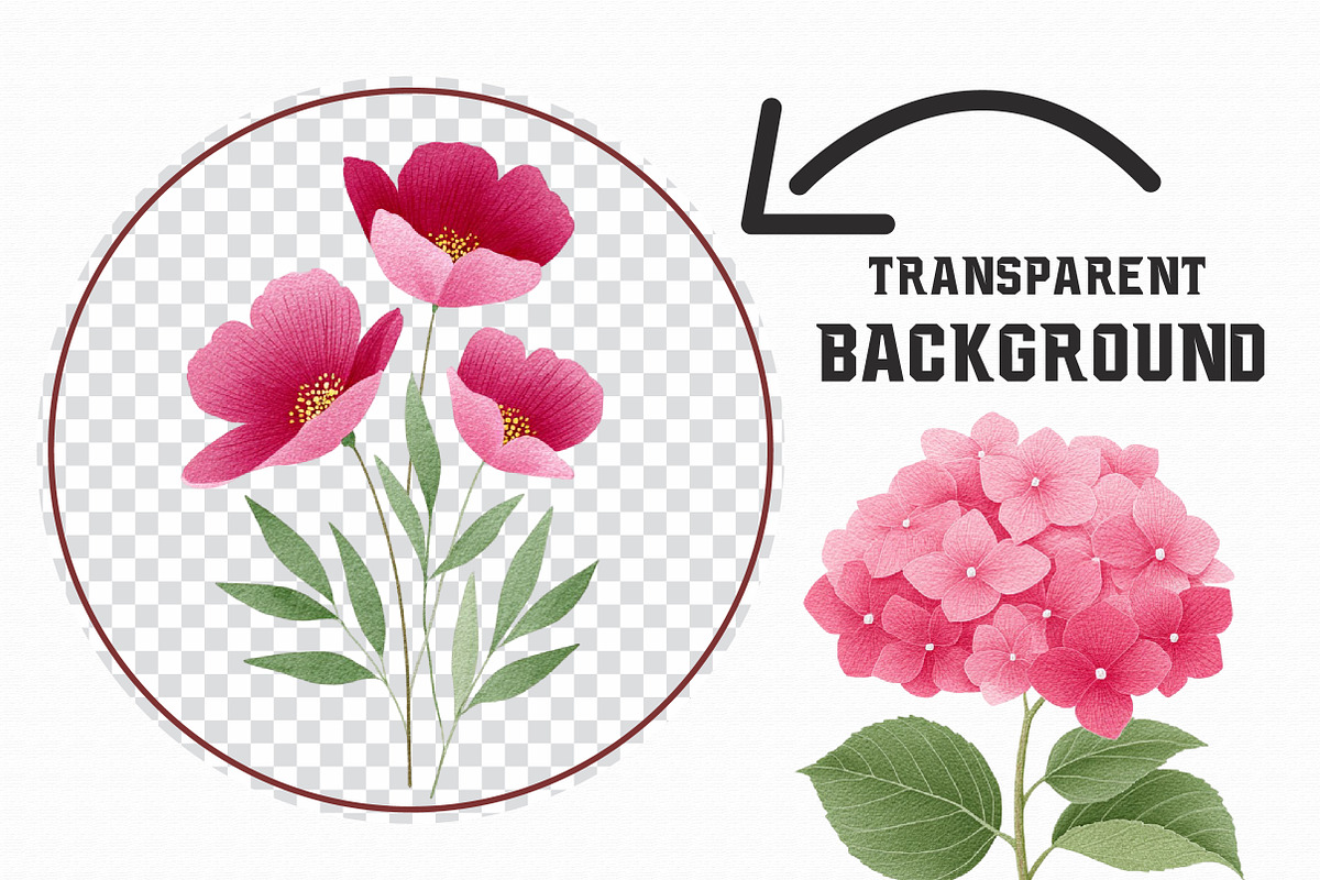 Watercolor Burgundy Flowers Png, an Illustration by Libby Wishes (Photo 5 of 6)