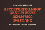 South Montana - Slab Serif, a Slab Serif Font by Rillatype (Thumbnail 10 of 10)