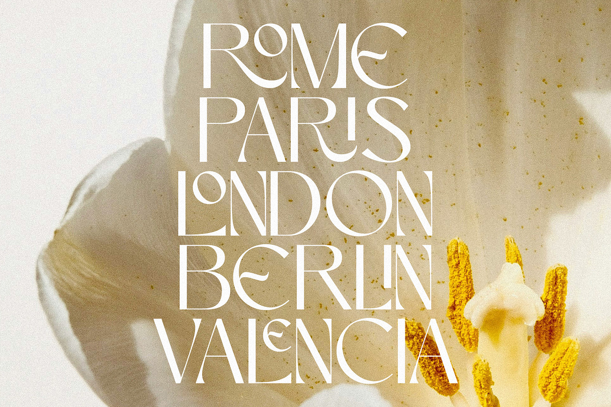 Perennial - Elegant & Ligature Sans, a Sans Serif Font by Mikhail Kitsune (Photo 6 of 9)