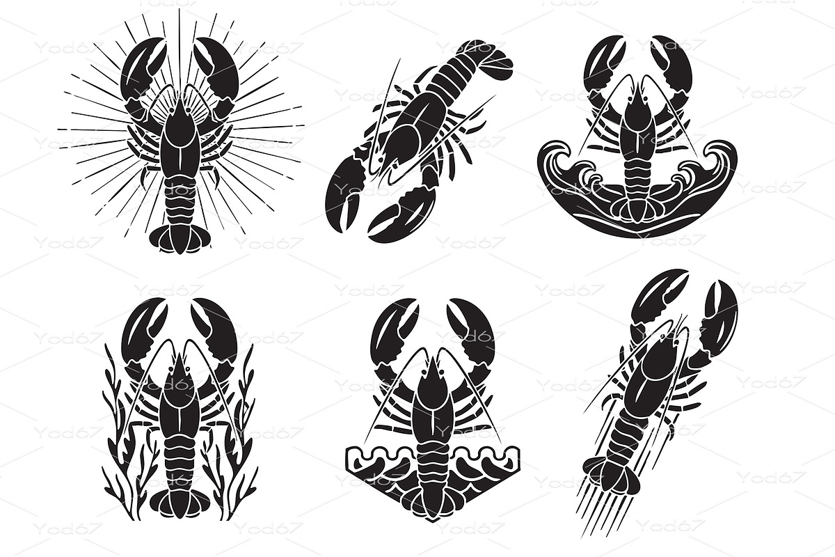 Set of bold lobster designs. Food., an Animal Illustration by yod67