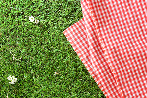 Red Gingham Blanket on Grass, a Holiday Photo by Davizro's Market