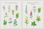 Herbal Apothecary Brand Kit, a Healthcare Illustration by AnitaPol (Thumbnail 12 of 18)