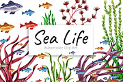 Watercolor Sea life, an Animal Illustration by Color_Brush (Thumbnail 1 of 9)