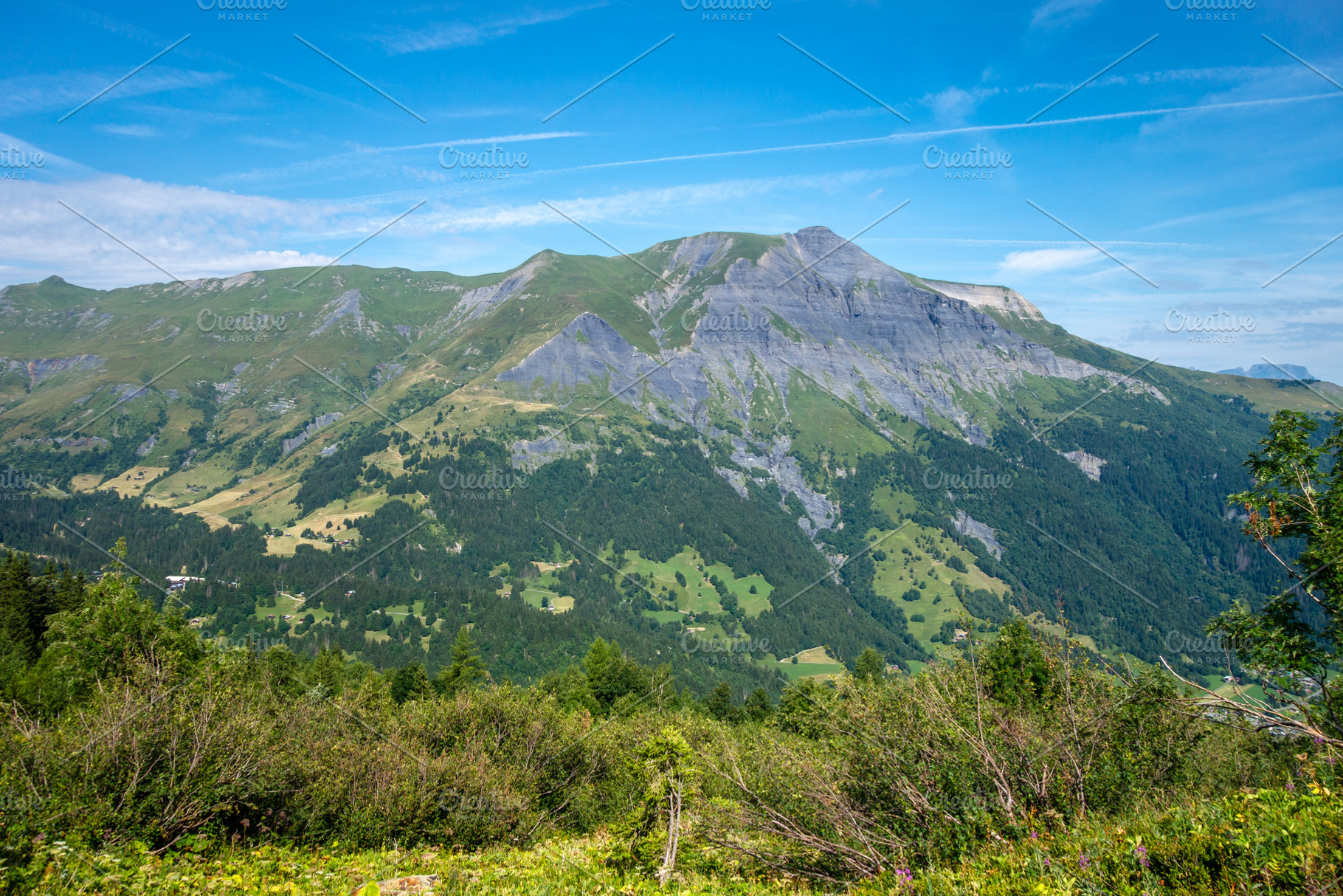 Wildflowers and alpine mountain view at Contamines Montjoie, Fra, a Nature Photo by GoodGoods