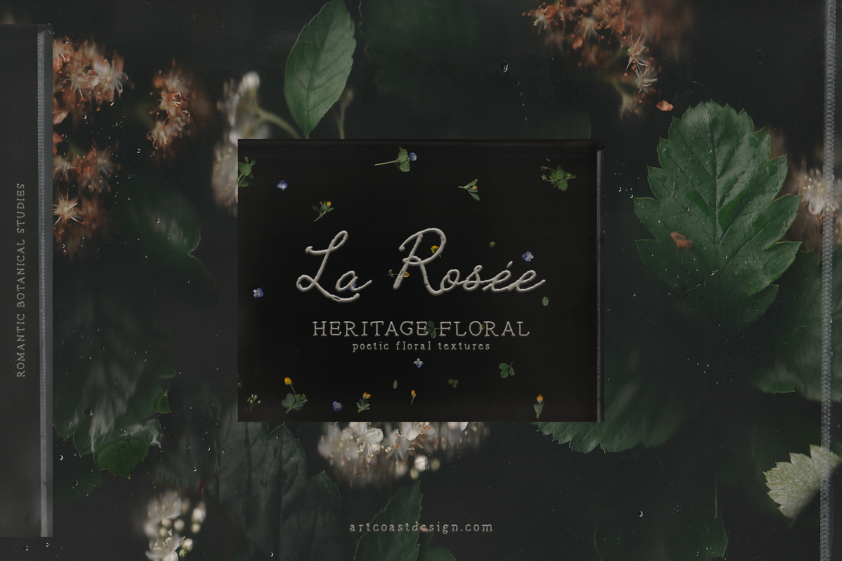 La Rosee Botanical Backgrounds, a Wallpaper Graphic by nadispasibenko (Photo 1 of 9)