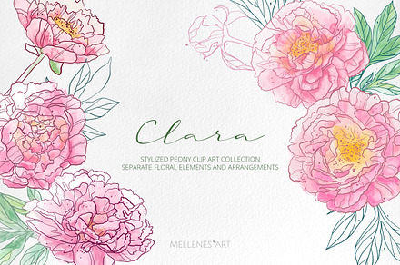 Stylized Peonies Clipart Elements