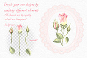 Ethereal Roses watercolor collection, a Decorative Illustration by susie-p-art (Thumbnail 3 of 19)