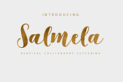 Font Bundle Caligraphy 85%Off, a Script Font by Genesis Lab (Thumbnail 4 of 27)