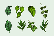 Flowers Illustration Bundle, a Decorative Illustration by Schumacher Shop (Thumbnail 8 of 18)