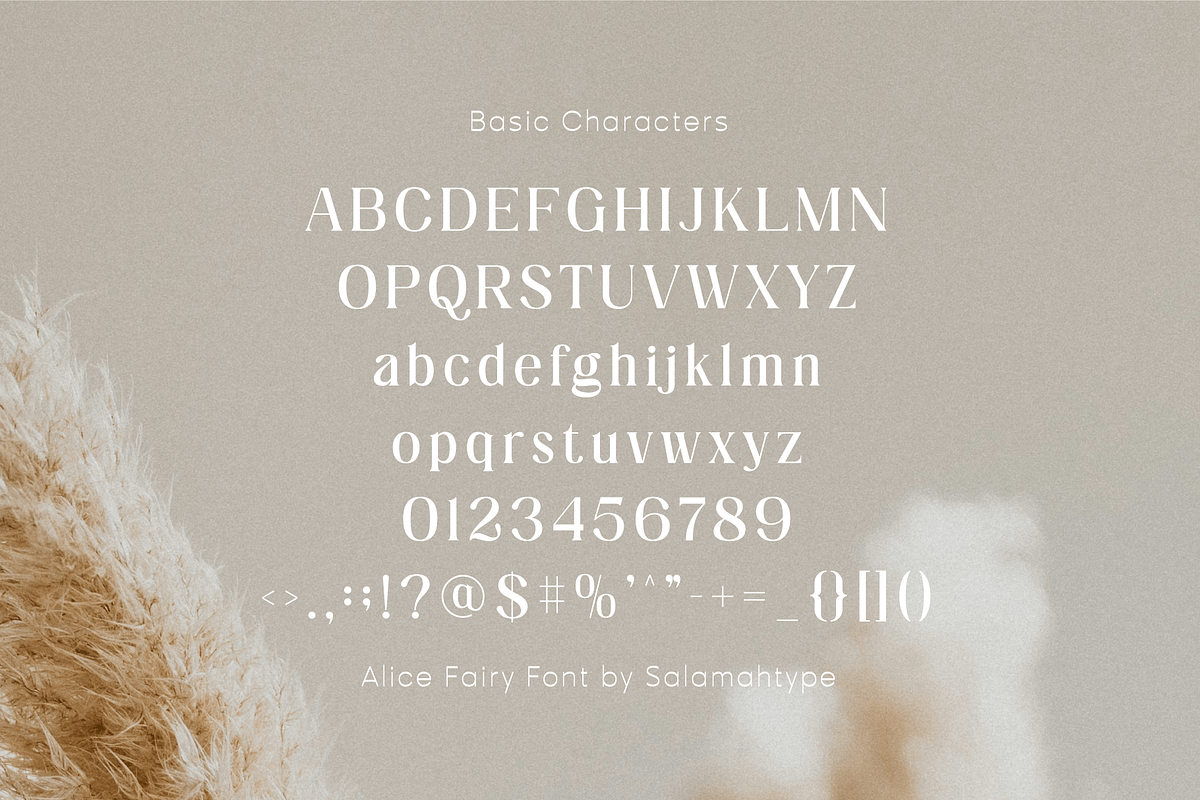 Alice Fairy - Beautiful Font, a Serif Font by Salamahtype (Photo 6 of 8)