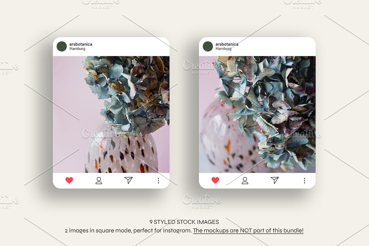 Hydrangea Love | Styled Photo Bundle, a Nature Photo by The Responsible Creatives (Photo 6 of 6)