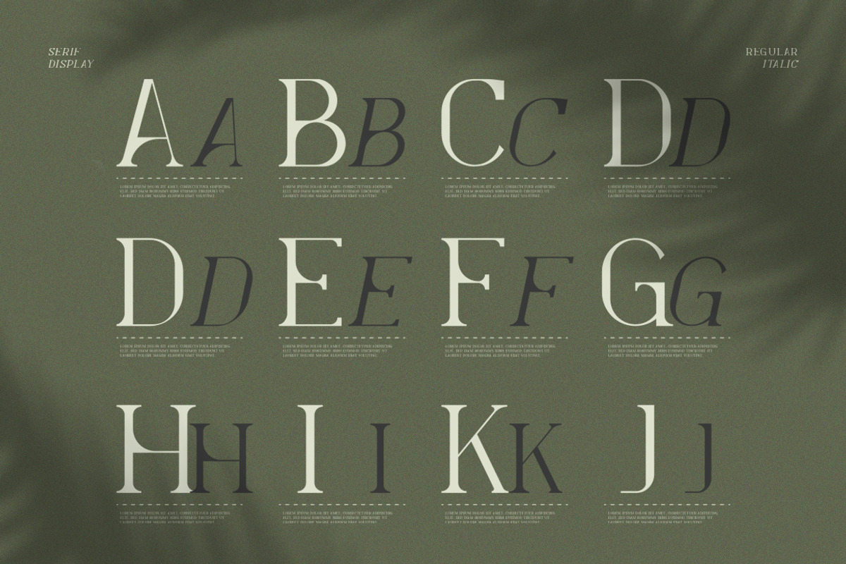 Levelly Luxury Premium Serif Font, a Serif Font by Artiveko (Photo 8 of 9)