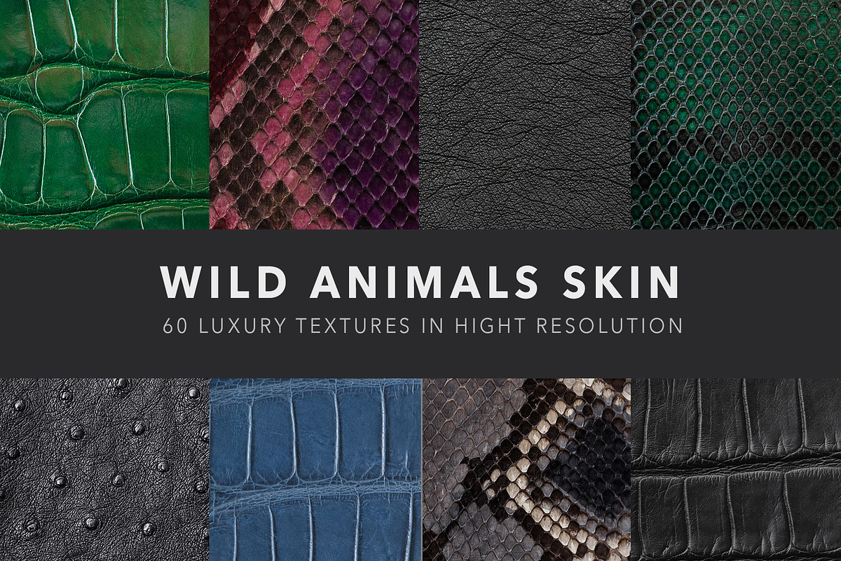 Wild animals skin patterns, a Texture Graphic by Elijah (Photo 1 of 10)
