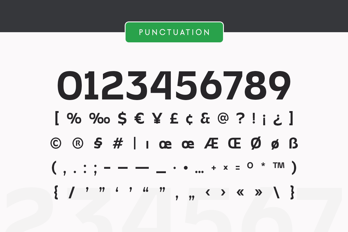 Ganiga - Neo Brutalism Font preview 8