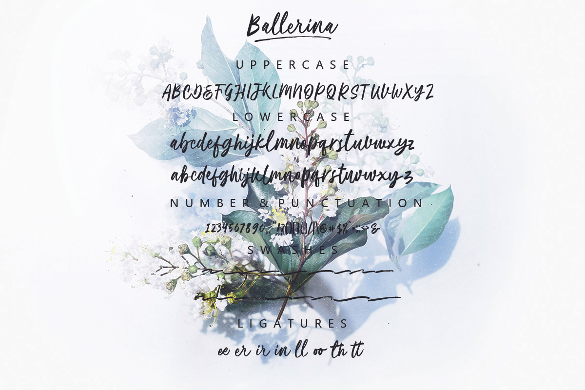 Ballerina | Script Font, a Handwritten Font by Megi Satyo Widodo