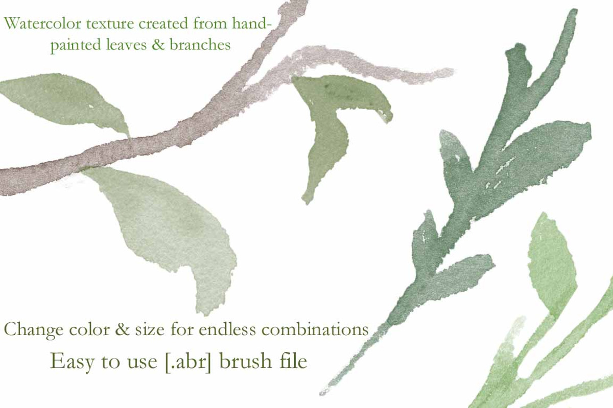 Botanical Brush Collection, a Brush Add-On by Chelsea Bromley (Photo 3 of 4)