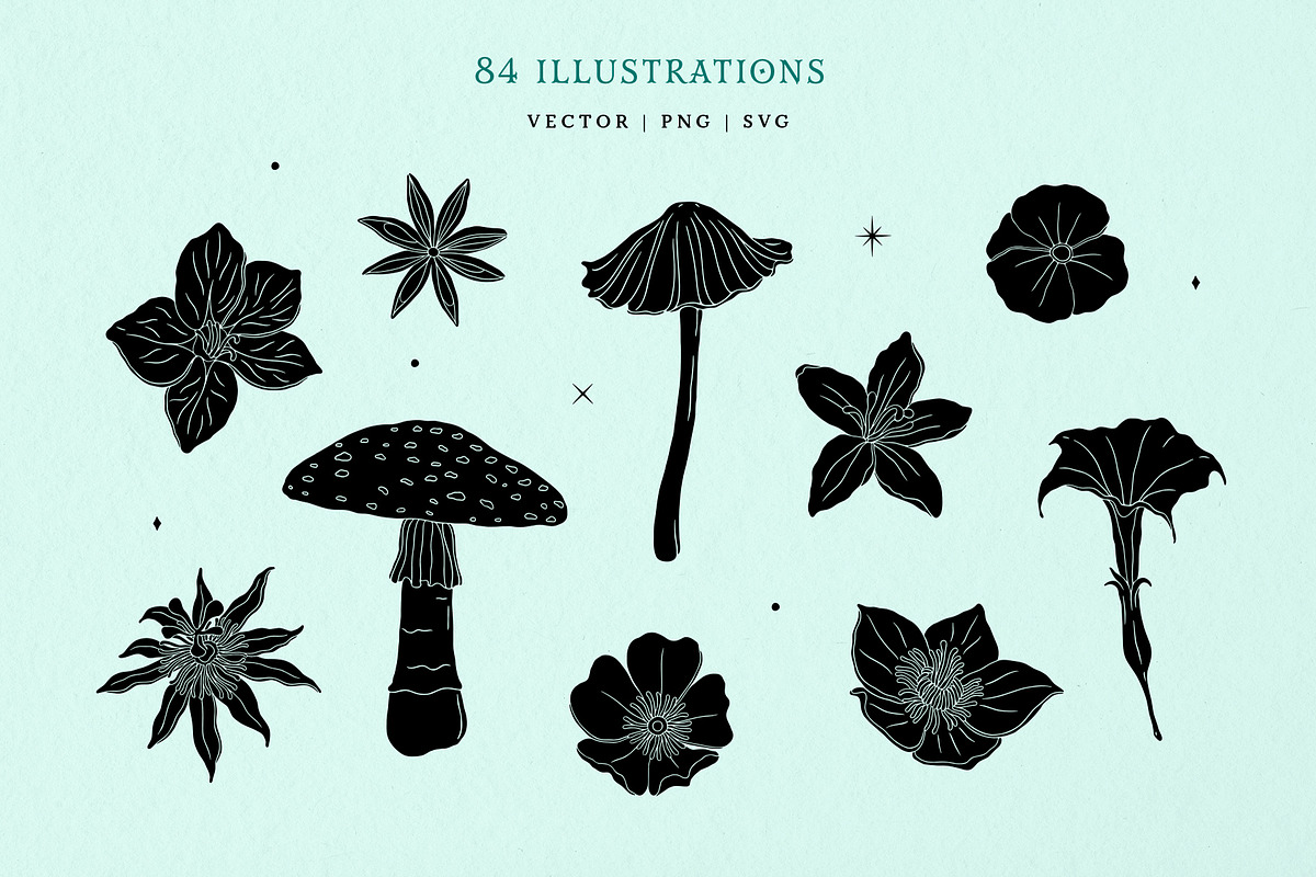 Mystic Garden Vector Illustrations, a Seasonal Illustration by rouxsupplyco (Photo 4 of 11)
