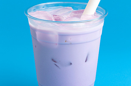 A Taro Boba Tea on a Blue Background