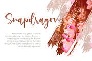 Rossi Mithori - Beautiful, a Script Font by Monoco Type Foundry (Thumbnail 5 of 11)