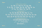 Bringster - Modern Serif Font, a Serif Font by Fype Co. (Thumbnail 5 of 5)