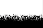 Rustic Wheat Field Vector Borders, an Illustration by hafijul (Thumbnail 3 of 9)