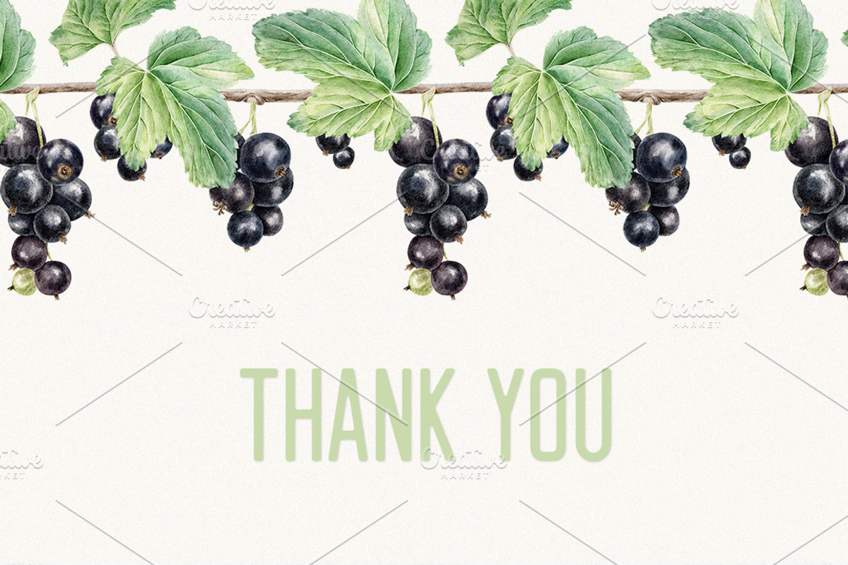 Black currant berry watercolor, a Food Illustration by Fedulova Art (Photo 10 of 10)