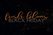 Roommates Script (Reguler & Slant), a Script Font by Jhoel Design (Thumbnail 4 of 16)
