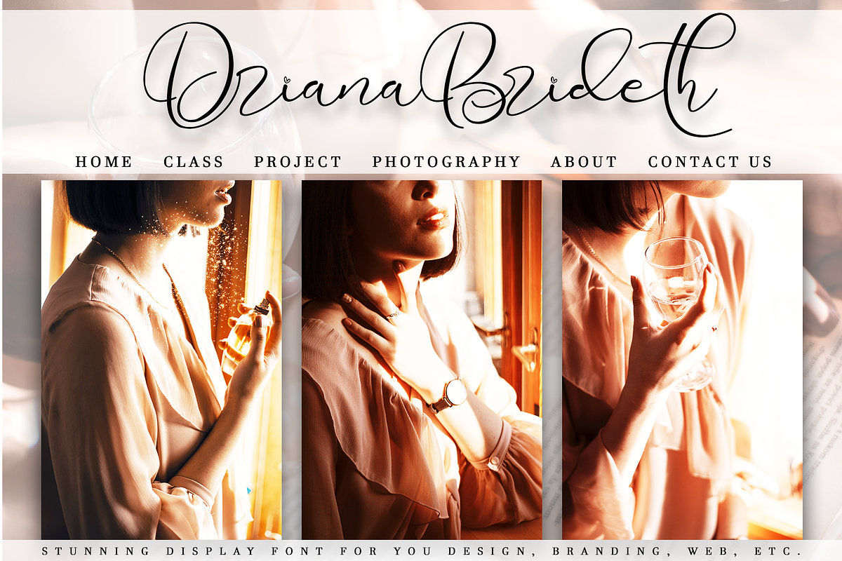 Driana Brideth, a Script Font by Aldedesign (Photo 7 of 10)