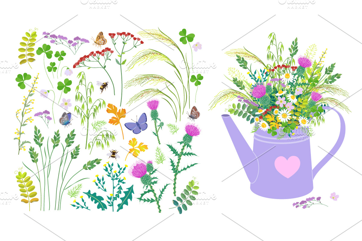 Summer Meadow Plants  and Insects, a Decorative Illustration by Valentyna Smordova (Photo 3 of 4)