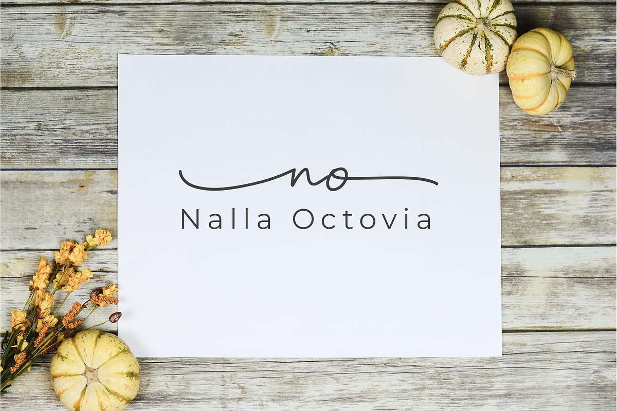 Weldatelia Monoline Script Font, a Script Font by NTC Graphic (Photo 5 of 9)