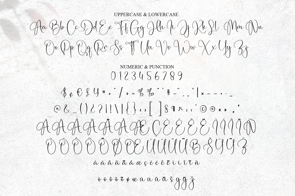 Ananta Signature | Script Font, a Handwritten Font by Scratchones (Photo 7 of 9)