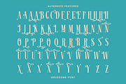 Gruesome - Display Serif Font, a Serif Font by Letterhend Studio (Thumbnail 10 of 11)
