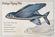 Flying Fish Vector Illustration, an Animal Illustration by Kusumaillustration (Thumbnail 2 of 6)