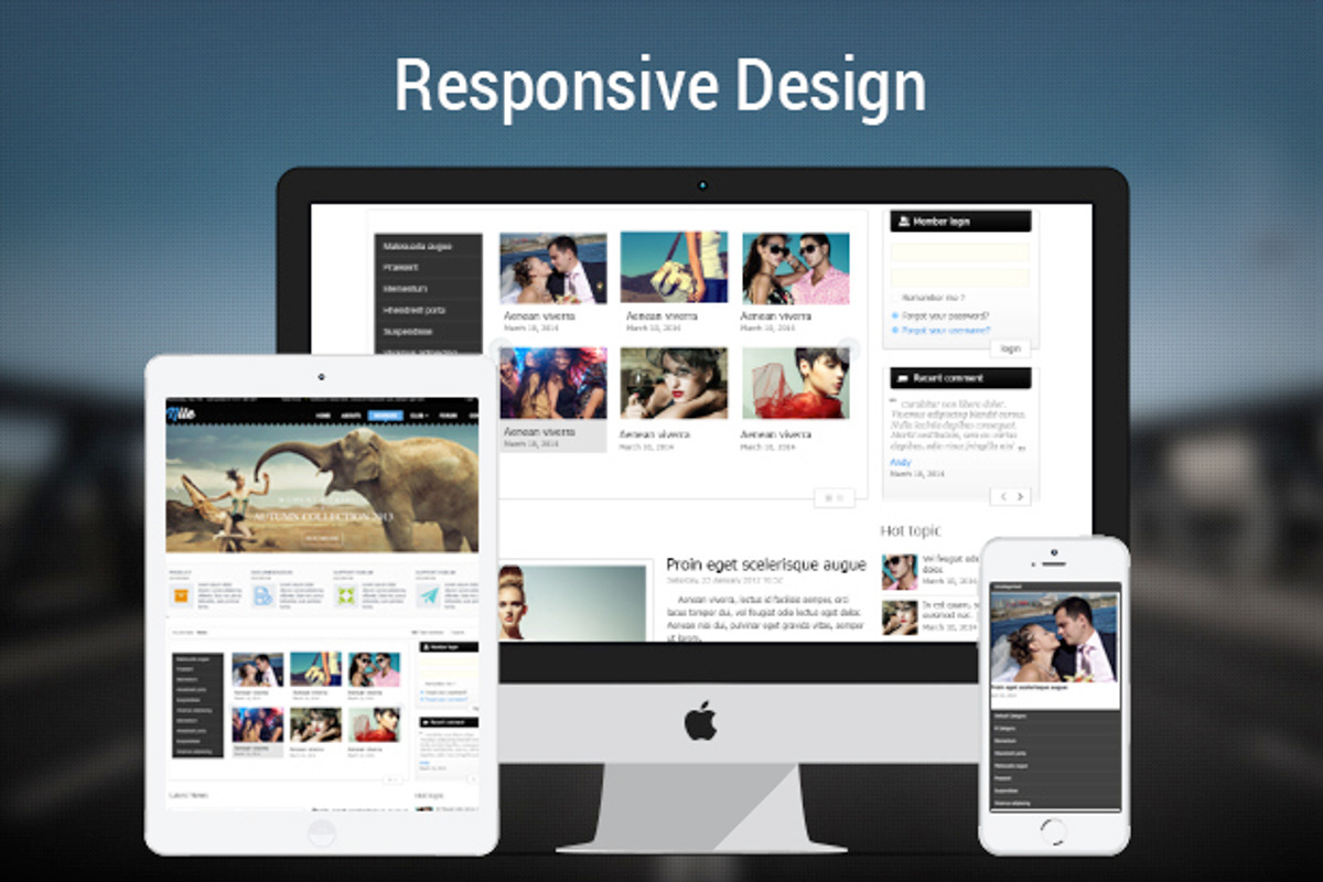 Free Responsive Category Slider, a WordPress Template by Digipieces (Photo 1 of 5)