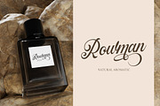 Daustley - Modern Calligraphy, a Font by ErgibiStudio (Thumbnail 4 of 11)