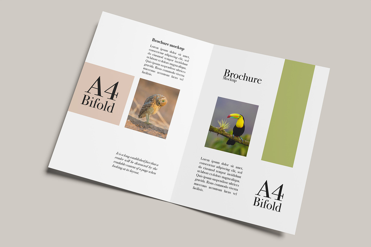 8 PSD - Brochure A4 Bifold Mockup, a Print Template by rahmatmoscae (Photo 8 of 8)