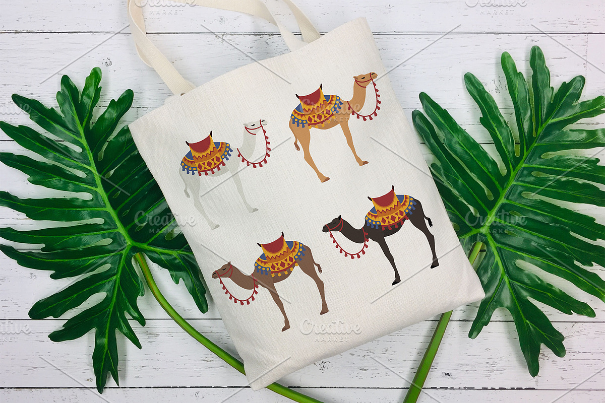 Arabian camel Dromedary clip art, an Animal Illustration by pet design shop (Photo 1 of 5)