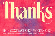 Mellgro High Contrast Modern Serif, a Serif Font by timelesstype.co (Thumbnail 20 of 20)