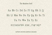 The Meadows - Font Trio & Extra, a Handwritten Font by Davide Bassu (Thumbnail 22 of 25)