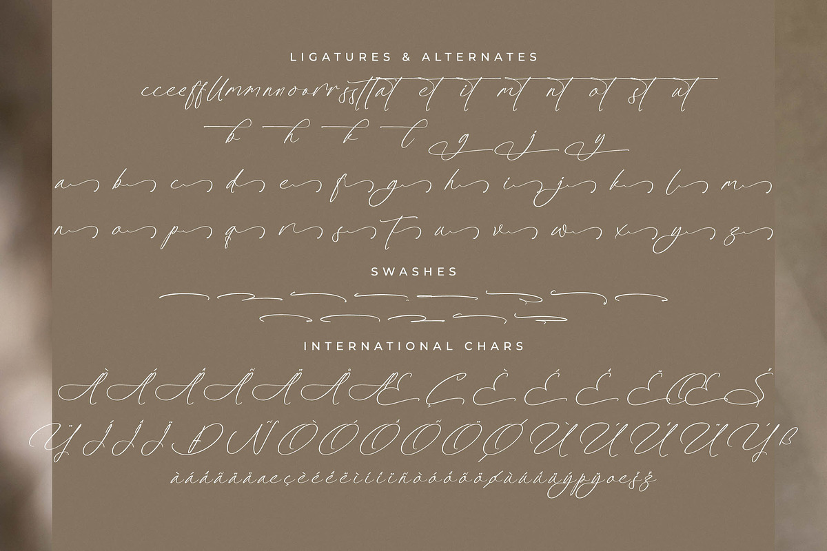 Platimye Stylish Signature Font, a Script Font by Letterena Studios Script (Photo 14 of 15)
