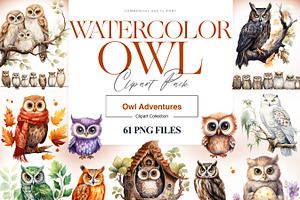 Watercolor Owl Clipart, Cute Owl PNG