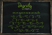 Dignity Cursive + Bonus, a Script Font by TSV Creative (Thumbnail 6 of 12)