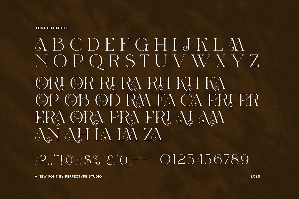 Morina Elegant Serif Font, a Serif Font by Perfectype (Photo 8 of 8)