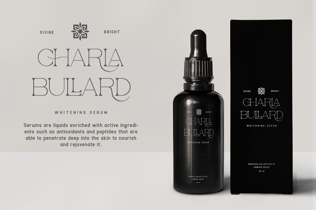 Charla - Modern Serif Typeface, a Serif Font by overlaytemplates (Photo 2 of 5)
