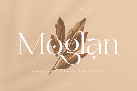 Moglan | Ligature Serif Typeface, a Serif Font by Pentagonistudio
