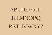 Lavish - Elegant Typeface (Updated!), a Serif Font by HipFonts (Thumbnail 4 of 8)