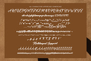 Satin Willots, a Script Font by operatype.co (Thumbnail 8 of 8)