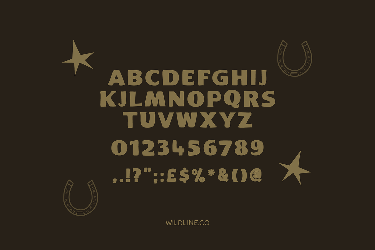 Bronco Serif | A Hand Lettered Serif, a Font by Wildline.Co (Photo 3 of 3)