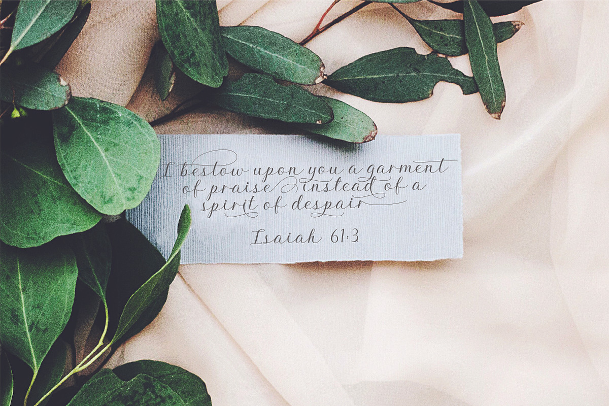 Aesthetics Luxury Script Font, a Script Font by theinkaffair (Photo 4 of 11)