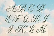 Ornavelle - Bloom Beautifully, a Script Font by HypeWorksCo (Thumbnail 19 of 22)